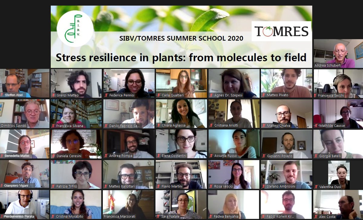 SIBV/TOMRES Summer School 2020
Scientific discussion, international speakers and students, online networking, all this made a successful  event ... see you next time!