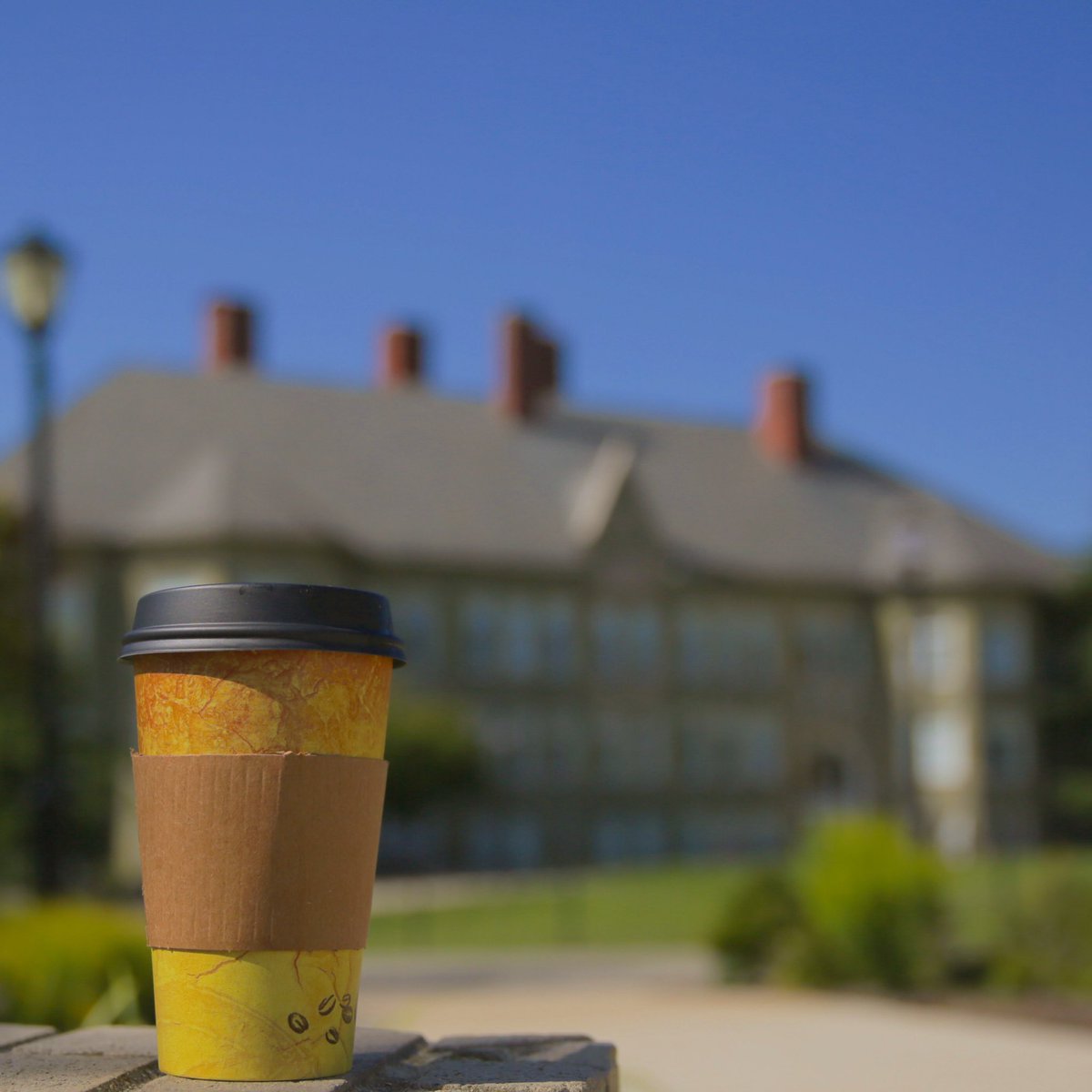 WCUofPA's tweet photo. One cup, two cup, three cup, ZOOM!! ☕️💻#NationalCoffeeDay #PumpkinSpice #Saxbys #Starbucks #Ecogrounds https://t.co/9kS1d1ON6g