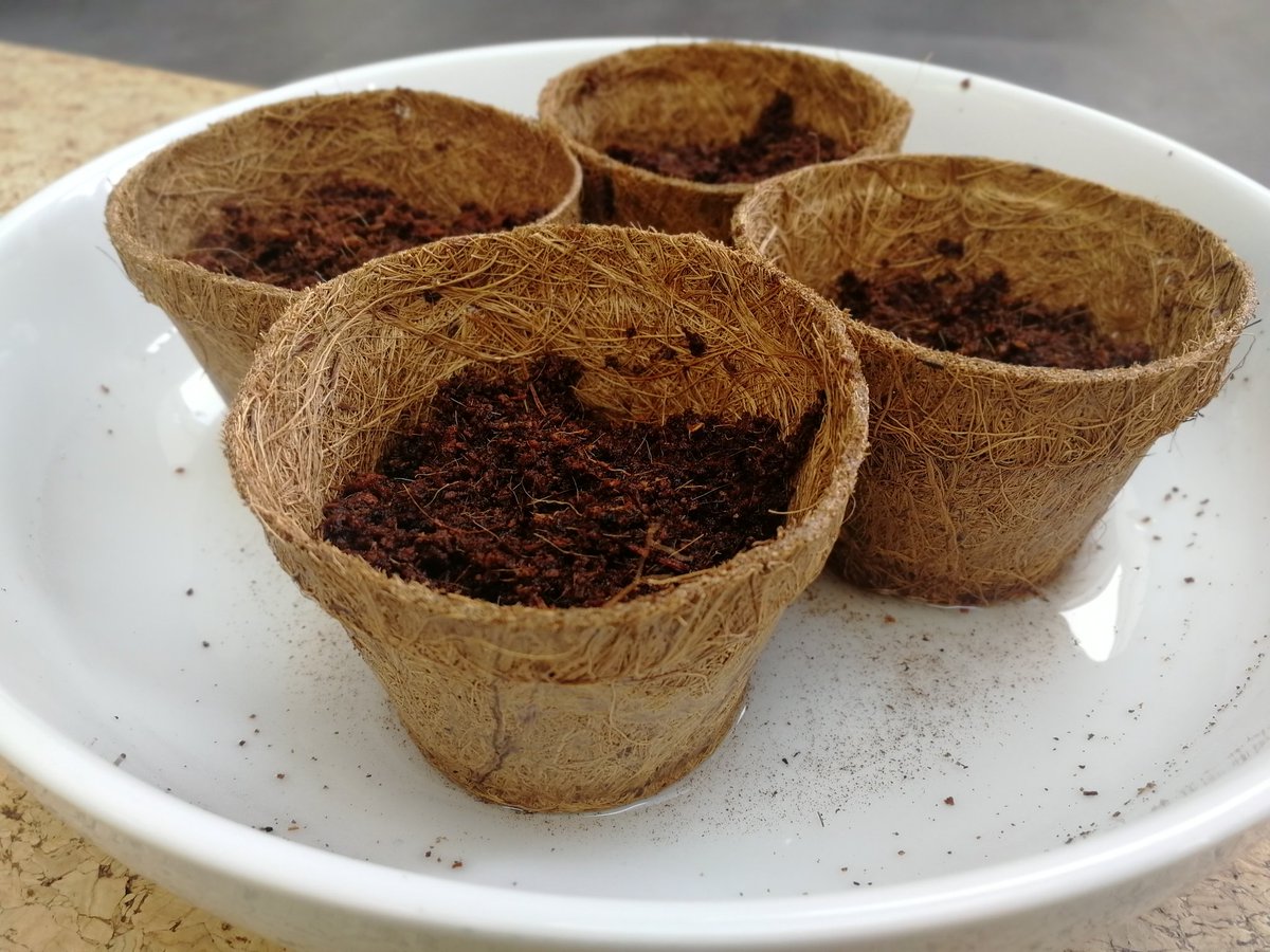 laura myers tweet media