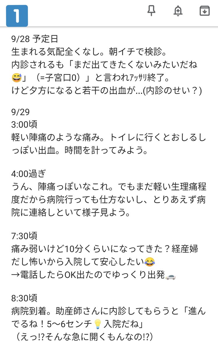 臨月 出産メモ