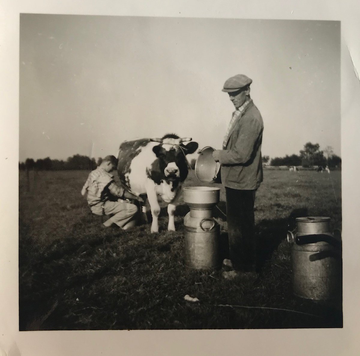 Kan het ‘vergeten’ verleden van het voor #Brabant zo kenmerkende gemengde bedrijf, de hedendaagse zoektocht naar een #duurzamelandbouw inspireren? Dat onderzoekt @JoksJanssen in een persoonlijk getint essay, aangeboden aan afscheid nemend @CdKBrabant bit.ly/36iIilg