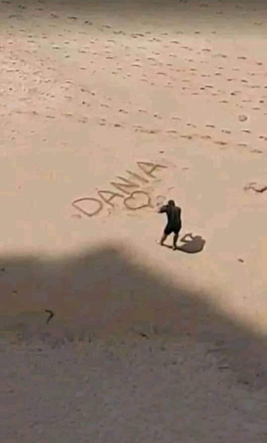 Penampakan buaya di pantai