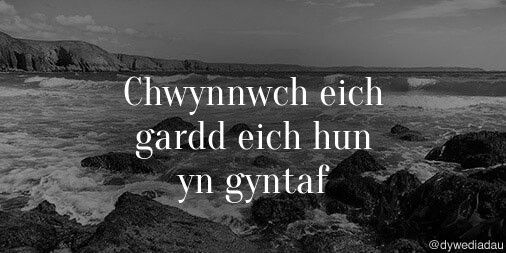Chwynnwch eich gardd eich hun yn gyntaf