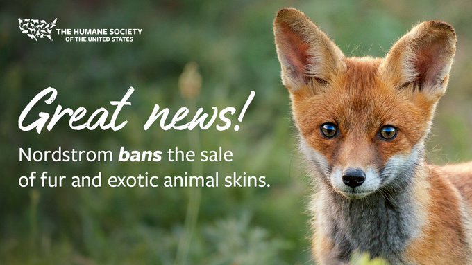 Nordstrom to Stop Selling Fur, Exotic Animal Skins