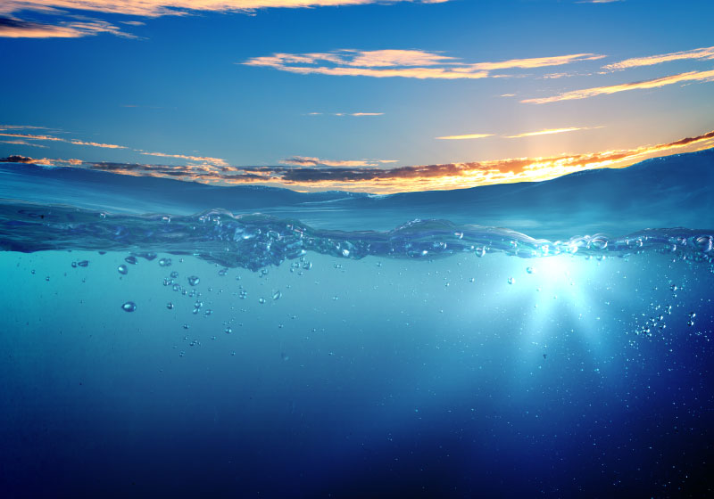 cmppoolspa's tweet image. Next Generation Products and Support from CMP - mailchi.mp/c-m-p/next-gen… From product support to the latest pool technology, we&apos;ve got this!
#AdvancedOxidation #ProductSupport #PoolPros