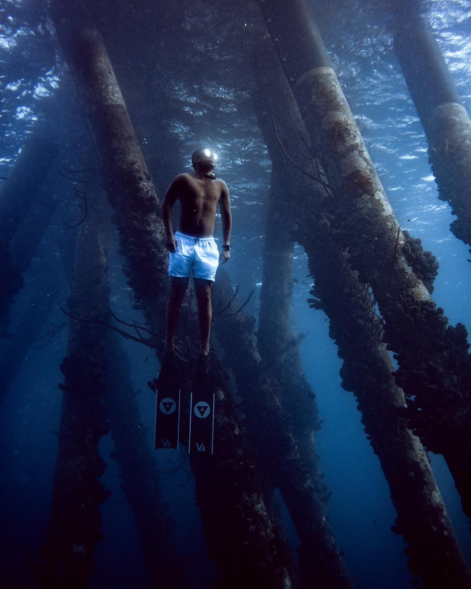 BonaireIsland's tweet photo. 𝙎𝙥𝙤𝙩𝙩𝙚𝙙 𝙤𝙣 𝘽𝙤𝙣𝙖𝙞𝙧𝙚 - A magical moment between the salt pier pillars. Have you ever swam here? Tell us about your great memory here at the slat pier!😃
📸: @i2raelgil

#Bonaire #SaltPier #BonaireValues #BonaireIs https://t.co/n3b2qxghYs