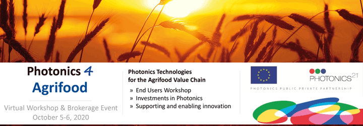 moloko_project photo