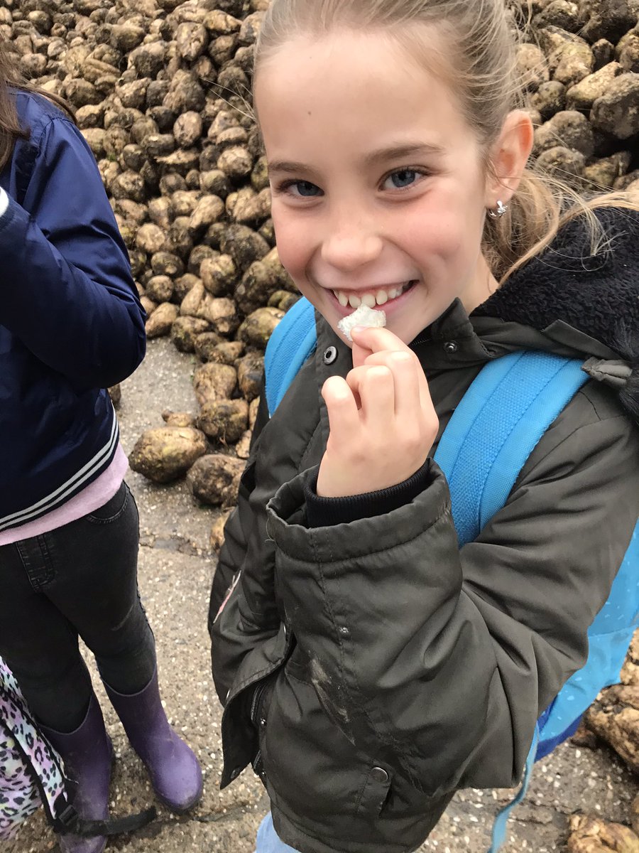 obscaleidoscoop's tweet photo. Gisteren mochten wij met groep 5 op bezoek bij beter leven boerderij, de Polderkip. We hebben geleerd over kuikens, tarwe, suikerbiet etc. @stadennatuuralmere #buitenleven#groep5#florially#samenleren#stadennatuur https://t.co/F5sKH1EgrV