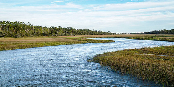 Esri_Conserv's tweet photo. 📣 We are 1️⃣ week away from the virtual National Land Conservation Conference, hosted by @LandTrustAlliance. Our conservation team is eager to meet with you❕ Check out conference details here 👉 https://t.co/qpMTezpwWT https://t.co/tFF9ohfupd