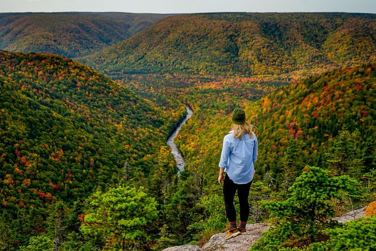 TourismCB's tweet image. 2020 Leaf Watch Update! 

@sarahlillianrose's photo of Cape Clear shows that the fall colours are right on schedule!

Where are you hoping to view Cape Breton Island's fall colours this year? 

#FallforCapeBreton #CanadaNice #ForGlowingHearts #VisitCapeBreton #VisitNovaScotia
