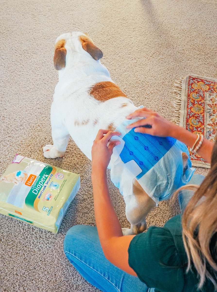 whensheroams's tweet photo. 🐶🏠🤦♀️ Is your dog peeing in the house again? Here's what you can do to stop them. @Hartzpets #DogsInDiapers #ad https://t.co/mNbo0KnyFn
https://t.co/00cXg3NqyA https://t.co/xEpI57a0pY