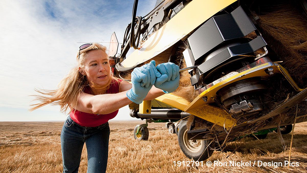 Masterfile's tweet image. Vegetable seeds sold out everywhere this spring, and community-supported agriculture boxes, or CSAs, have also had a banner year. What will the harvest bring? buff.ly/2RXUj73