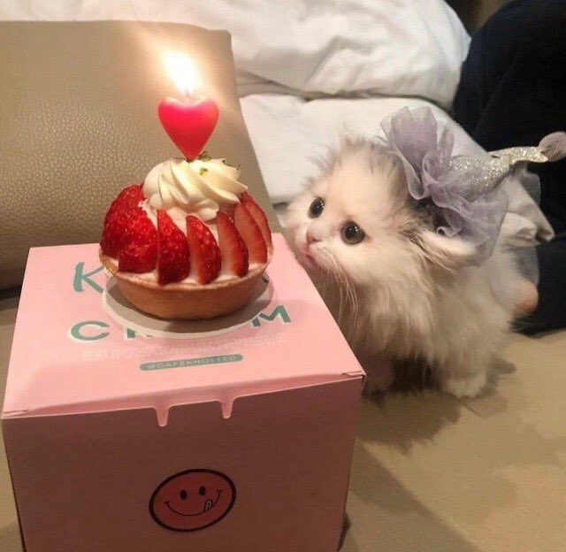 khyeonbn's tweet photo. Happy birthday, @yenaaku. Juro’s friend bought you a super duper tiny cake, she hopes you like it. https://t.co/Ba5Rg29m4V