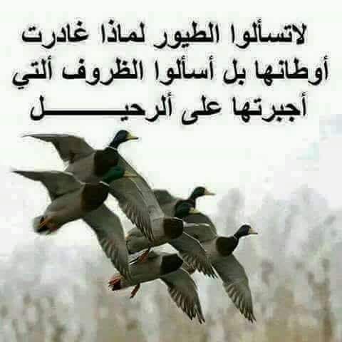baishiraqi's tweet photo. https://t.co/Q2KwRrCPqP