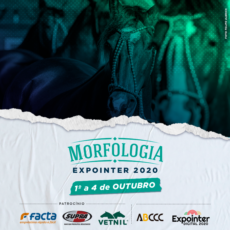 ABCCCoficial's tweet photo. Após três prévias ao longo do ciclo, a Morfologia da Expointer 2020 se inicia a partir desta quinta-feira (1) e se encerra no dia 4 de outubro com a definição dos vencedores dos grandes campeonatos. 
▶ Saiba todas as informações necessárias: https://t.co/wNJKDTQ527

#ABCCC https://t.co/sPf0WWtUvZ