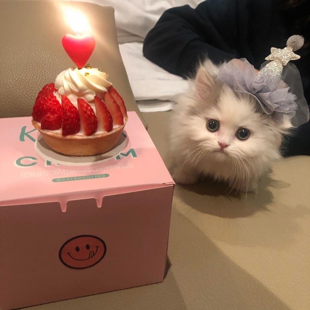 khyeonbn's tweet photo. @yenaaku Selirnya. https://t.co/2D9AFlLTIo