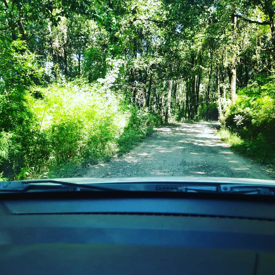 sg_nomad's tweet photo. #sgnomad   #mountainlovers #mountainvillage  #mountains #mountain #mountainlife #nature #naturephotography #pahadi #pahaad #travel #travelphotography https://t.co/HzXH5WugF8