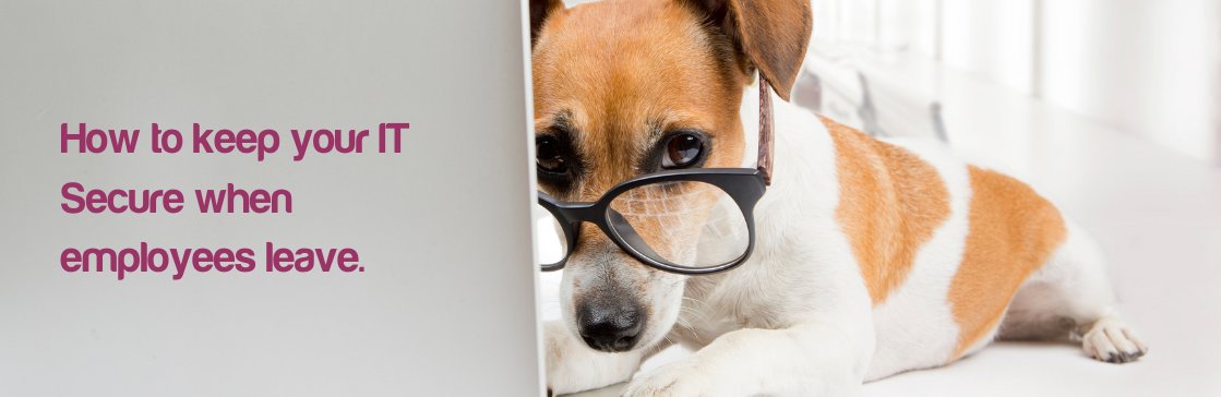 dakotabluehr's tweet image. Read our Guest Blog from @lp_networks read what you should be including in your formal employee exit checklist to protect your IT.   bit.ly/3jgvyPz #itchecklist #itsecurity #itsecuritybestpractices #guestblog #employeeexit #leaverschecklist