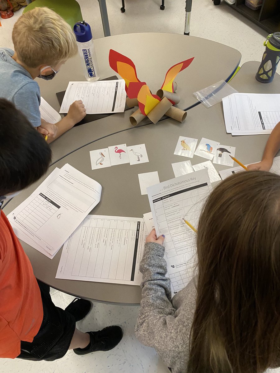 Mrs_WilliamsJES's tweet photo. Today our campers are bird watching and using a dichotomous key to identify specific birds! π¦
π #camplearnalot #rockyourschool @Journey_Elem https://t.co/JyBm4UUZla