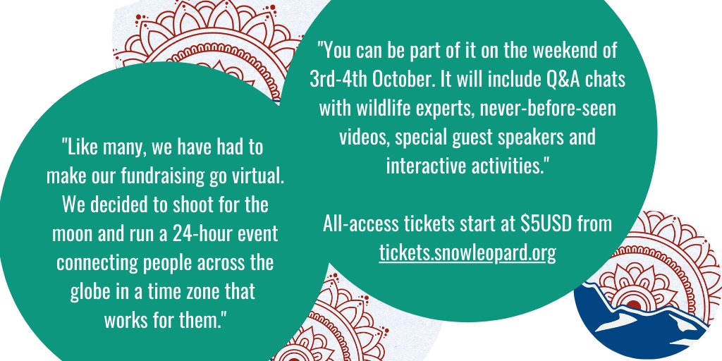 WhitleyAwards's tweet photo. 🎙️ Q.11 (pt.2) What can the public do to help your mission?
🐾❄️
Get your ticket 🎫 https://t.co/GnUNL8C7As
#TakeoverTuesday with #WhitleyAward winner Charu Mishra from @snowleopards
#ConservationHeroes #SnowLeopard #SnowLeopardStrong #ProtectSnowLeopards #MightyTogether https://t.co/UMSlCaDEHn