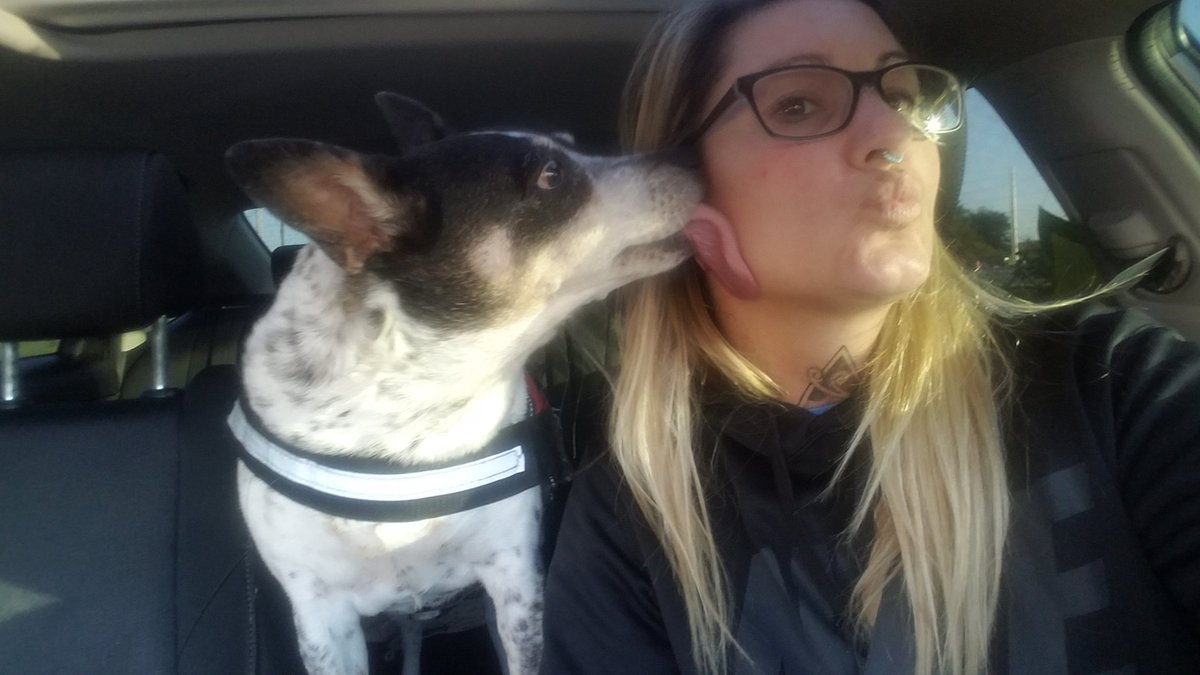JMartin_Photo_'s tweet photo. Took my baby to the vet for surgery today, she could use some prayers 
#dogmom #blueheeler #Junebug #prayers https://t.co/cV6JkAlA83