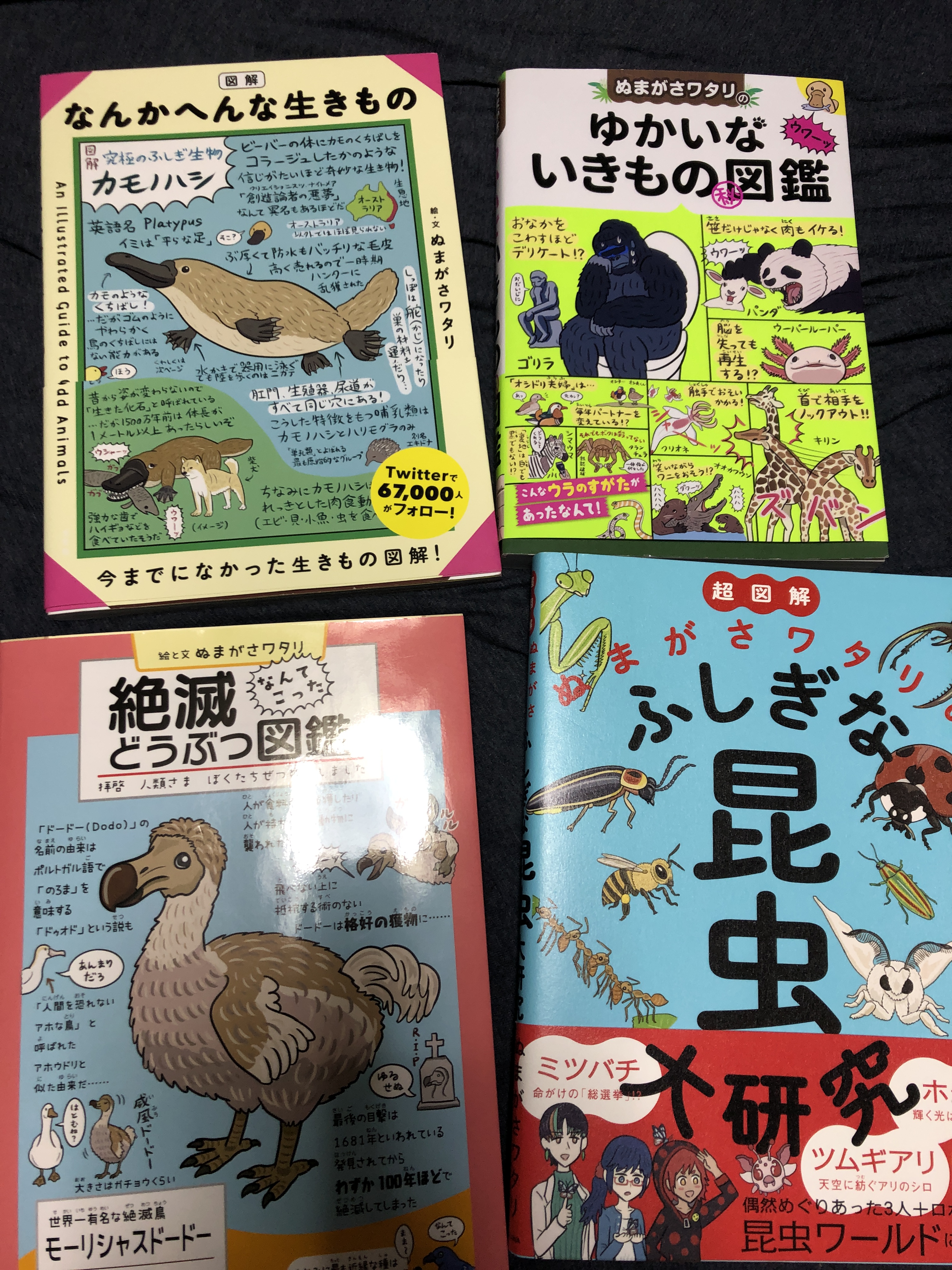 ぬまがさワタリ ゆかいないきもの超図鑑 ３ ８発売 ポケモン なんだかんだブッ刺さり世代だし 自分の生きもの好きに大いに影響してるのも間違いないので このmvの歴代ポケモン博士が勢揃いしてるシーンに無性にグッときてしまった てか 気付いたら