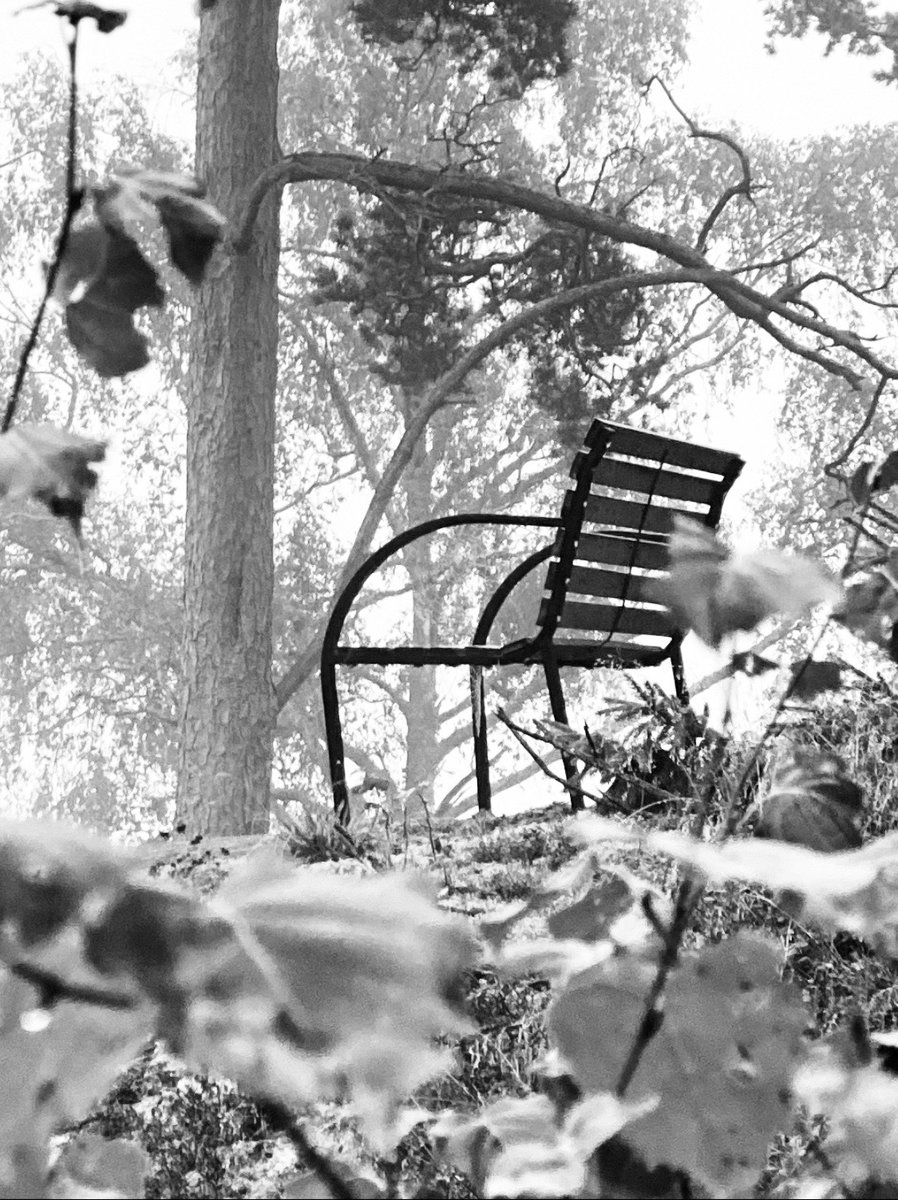 Leadership is having a bench, where in silence you can sit and fall down in yourself and reconnect with the authentic version of you, in the midst of everything going on, in this ever changing and crazy world.