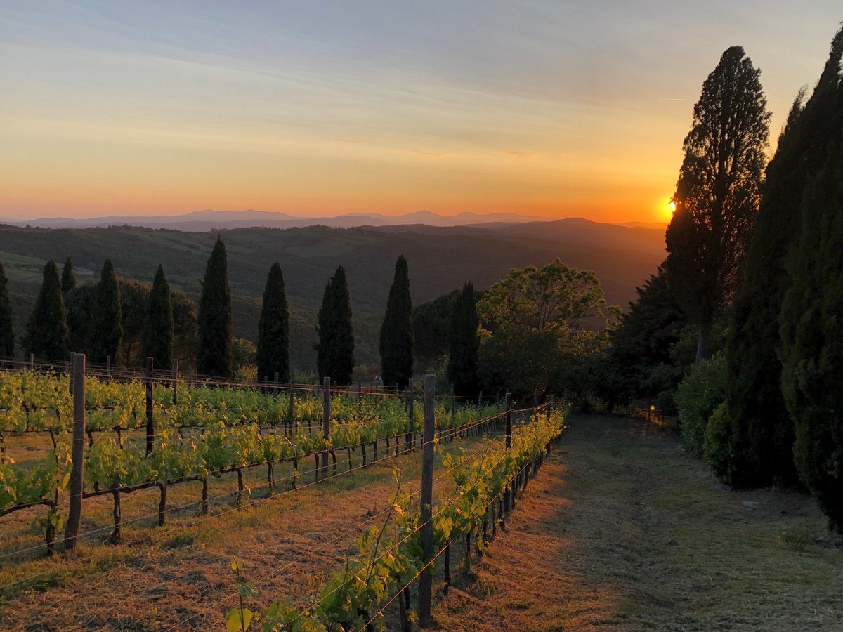 JohnMFodera's tweet photo. Ecco! Part 3 of my Annual Coverage published today!  #Tuscanvines #Brunello 

https://t.co/RE6SrW2XTf @ilpalazzone @ilpalazzoneNY @pietrosd @ricasoli99 @Vino101net @Vinofilosofia @cara_vino @Sassodoro @RussellVine1981 @Primo_Levi @MikeyGio85 @RealMarkCerimel @S_Andreoni @erikj https://t.co/V0LT86wxa8