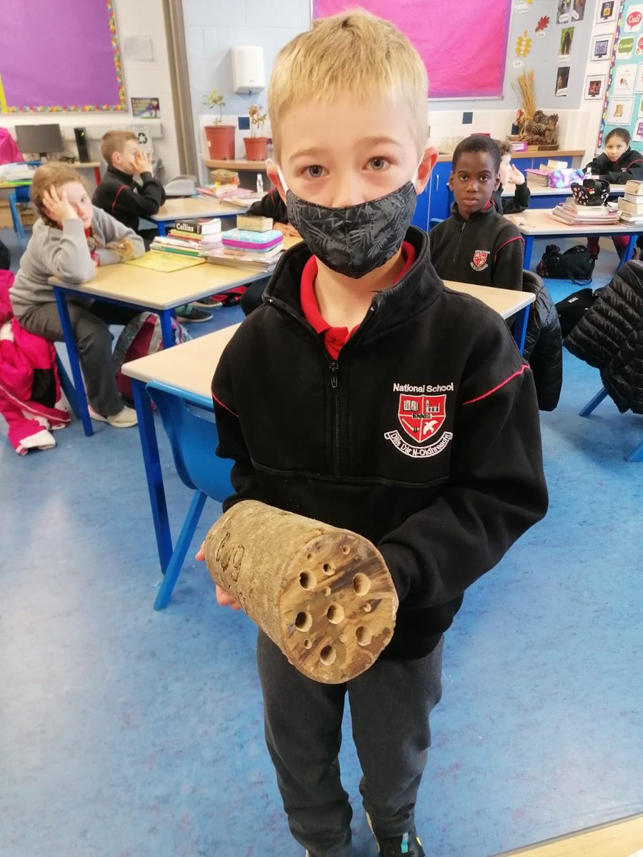 Thanks to Alex for bringing in a drilled log for our Bug Hotel in the school garden. 👏 Further donations of logs welcome - the hole provide a cosy winter home for insects. 😃