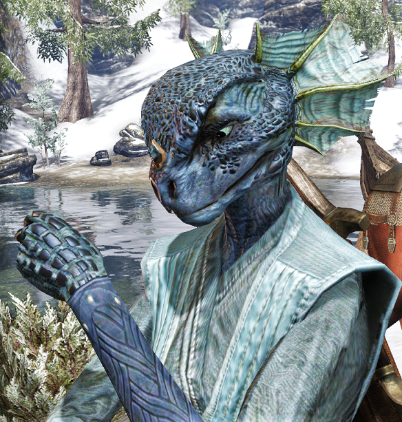 24/28. Gives-Shoulder-To-Cry-On, Giv for short. An Argonian healer who spent most of her youth taking care of orphaned egg clutches and saving eggs and hatchlings from slaver raids. Eventually, she and her adopted hatchlings established their own idyllic little settlement...