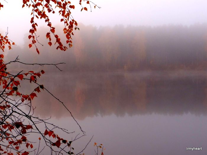 irmyheart's tweet photo. Klarälven, insvept i morgondimma. https://t.co/dtrfFJMtHb