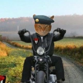 @WalkandWatch @FreshOtis I do! I'm very proud of my #tributeride bike https://t.co/EcfqnFwtjV