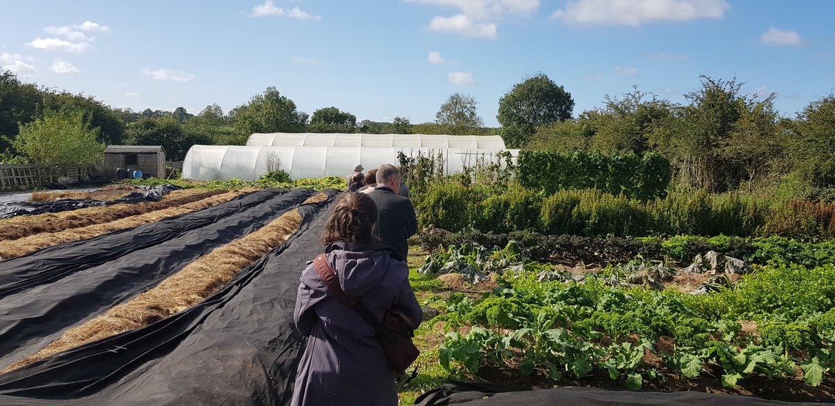 Edgillwhl's tweet photo. Enjoy the last @farmfornature
#FarmWalks2020 at the weekend with #FFNAmbassador Kate Egan & family on An Ghrian Glas farm. Always good to see what other people are doing. https://t.co/dbPwmvto1Q