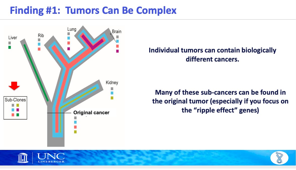 KomenNCTC's tweet photo. Often, sub-cancers found in metastatic sites can be found in the original tumor - @DrLisaCarey of @UNC_Lineberger
#mbcimpact #findingsolutions #metsbc https://t.co/XrNqOYPWpo
