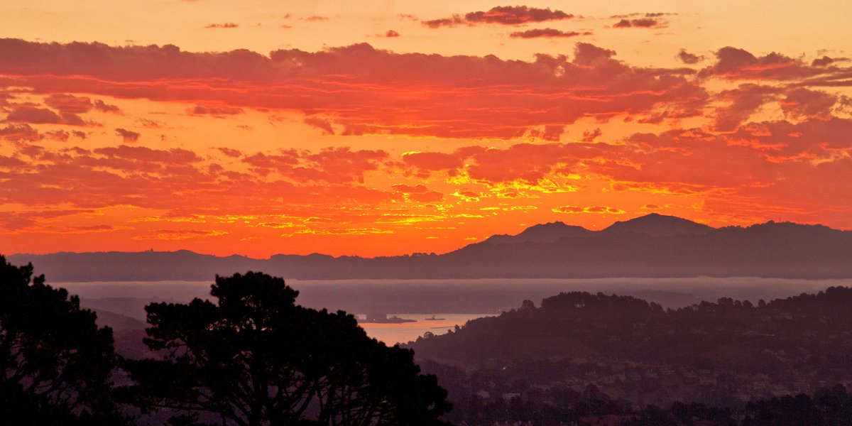 This Thursday and throughout October, we host talks by scientists & managers about Marin’s changing climate, forests, sea level rise, equity in public lands, and other issues affecting us locally. More info and registration: onetam.org/summit. 📸 Kirke Wrench/ NPS