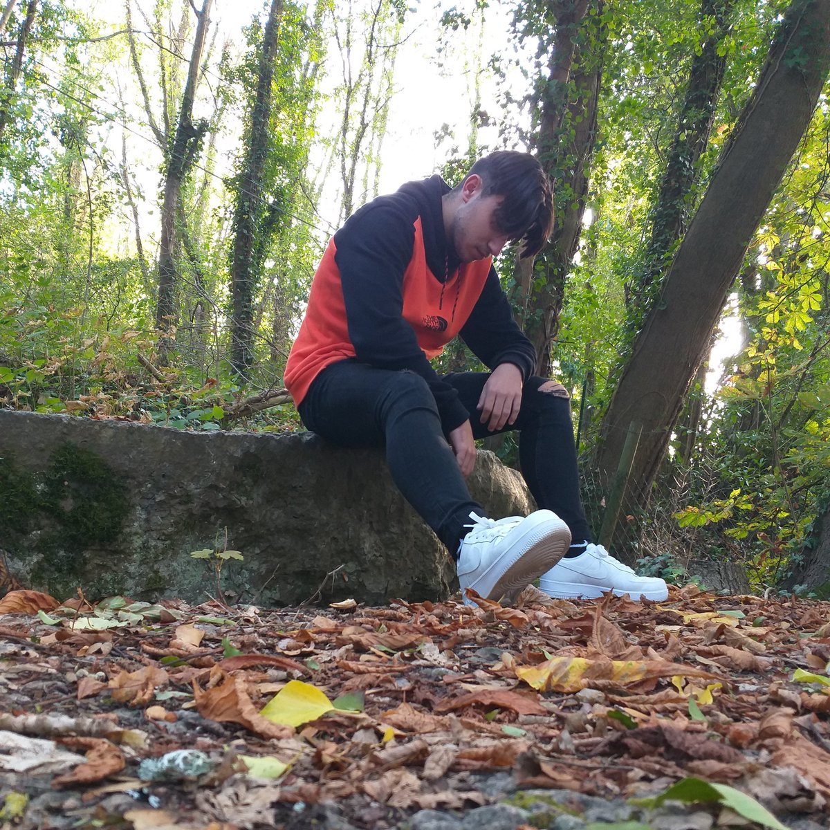 enrico_off's tweet image. #Nature #eco #zboss