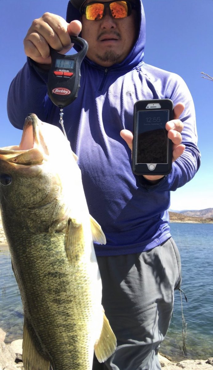 This is a giant! #fishingcalifornia #socalsurffishing #fishingjigs #fishingdaily #fishinglifestyle #outdoorstuff #fishermanslife #fishstories #fishlife #califishing #fishhard #bassfishingnation #bassfishin #lurecasting #fishinglure #lurefishingclub #beachfishing #fishpros