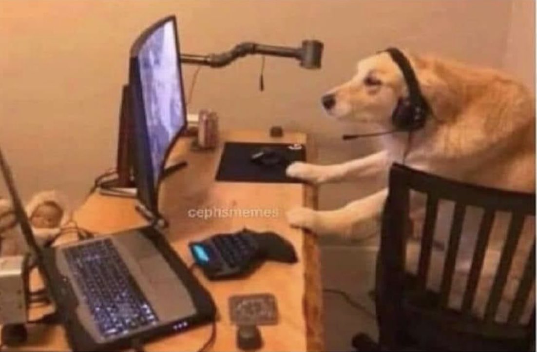 warzone.io tweet media