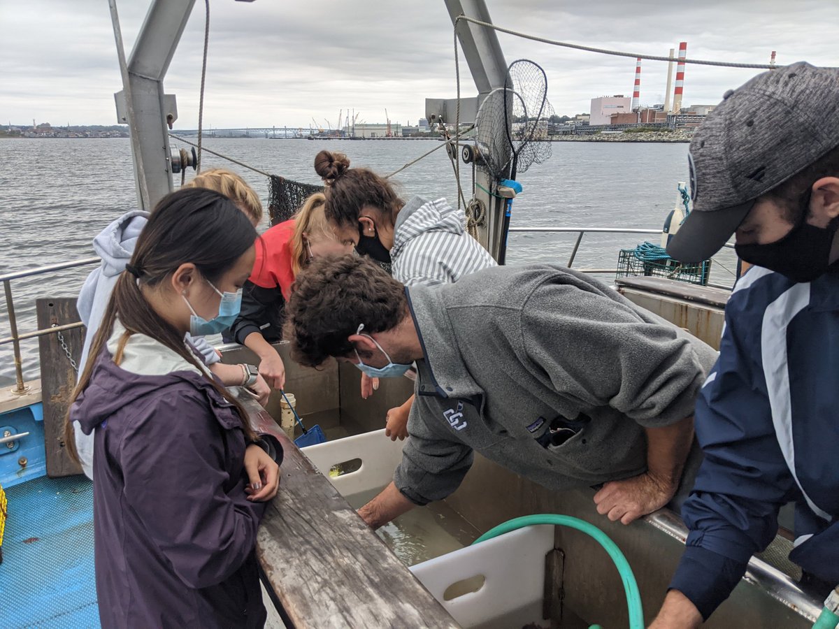 Enjoying some boat time in marine ecology today! @ConnCollege @Proj_Oceanology