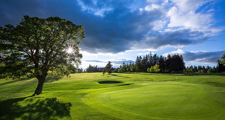 happygoolf's tweet image. @AuchterarderGC  have launched their 2021 Open Golf Competitions Ladies, Gents, Seniors &amp;amp; Juniors. On-line Booking and Entry Forms. happygolf.co.uk/golf-club/auch… 
#greatdayout #Auchterarder #opengolfcomps #gleneagles