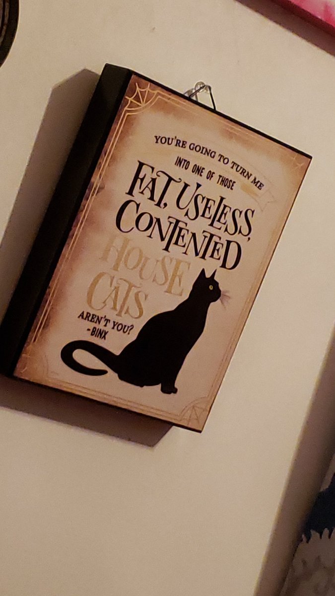 °•>If anyone wonders how much of a Hocus fan I am. 🤣🤣🤣