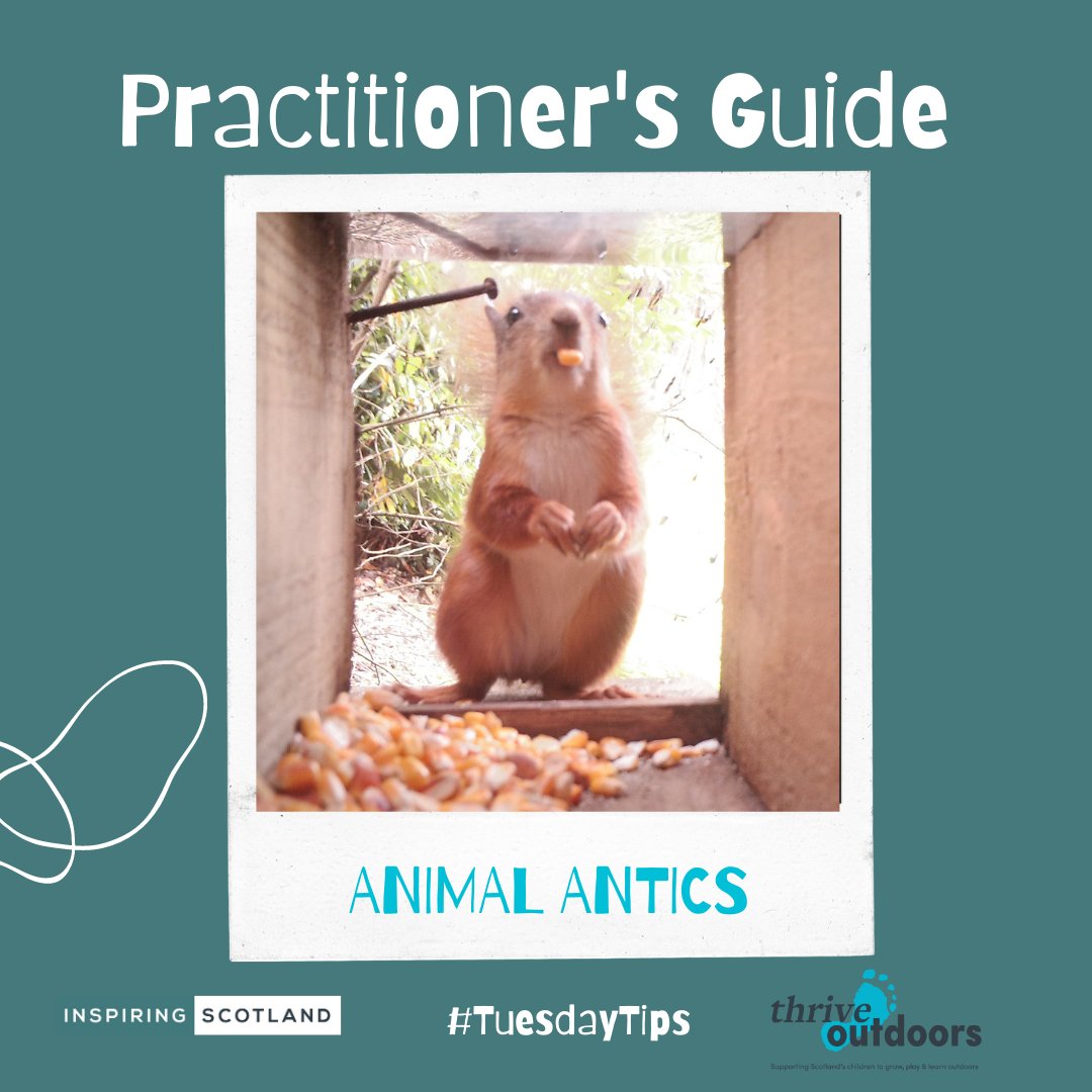 🐾 Animals and nature are the focus of this weeks #TuesdayTips for Practitioners! 🦆 Check out #AnimalAntics meets #AnimalMagic 👉 inspiringscotland.org.uk/publication/a-… 🐌
#outdoorplay #TeamELC