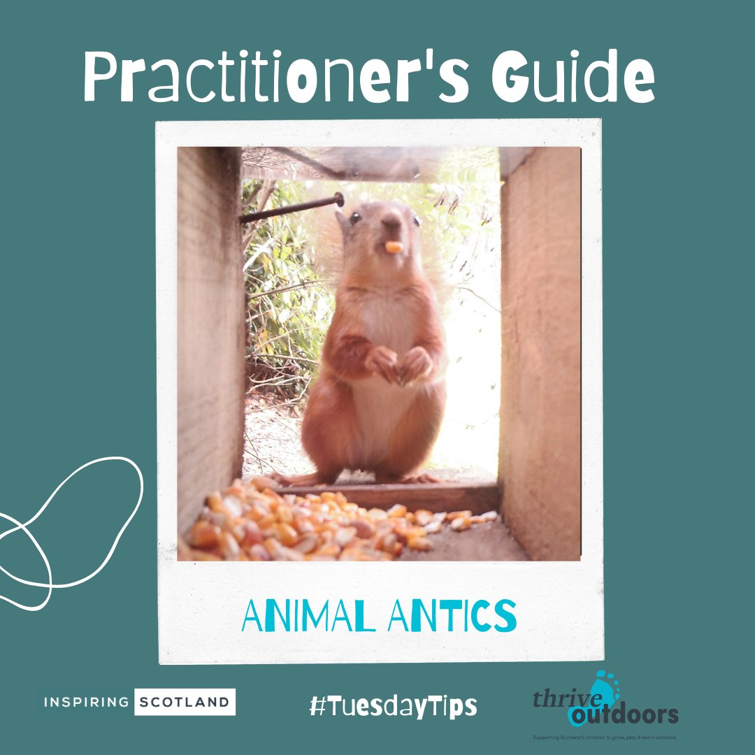 🐾 Animals and nature are the focus of this weeks #TuesdayTips for Practitioners! 🦆 Check out #AnimalAntics meets #AnimalMagic 👉 inspiringscotland.org.uk/publication/a-… 🐌 #outdoorplay #TeamELC