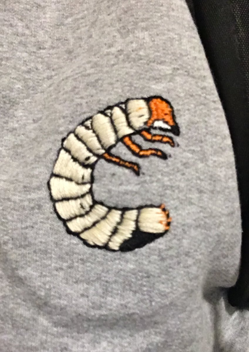 Did I embroider the subject insect of my master’s project onto a sweatshirt simply because I could? Why yes, yes I did.