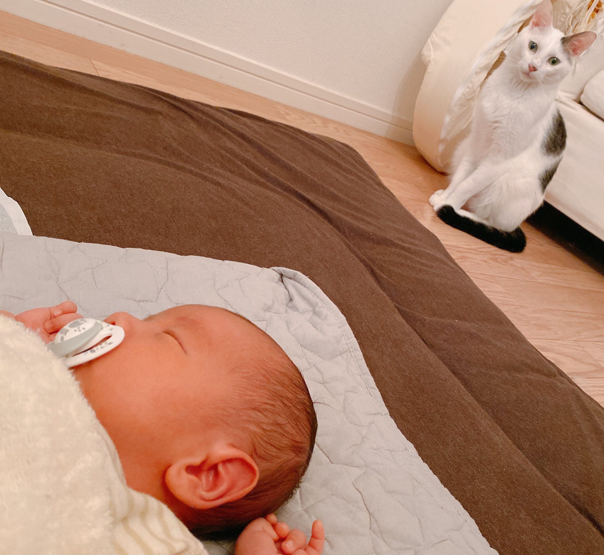 おがこず 鍼灸師 おしゃぶりデビュー 新生児用 歯並びに影響でづらいらしい ミルク飲んだそばから指しゃぶりするからおしゃぶりチュパチュパにかえてみた ミルク量もなんとなく増えていたからちょいごまかしてみる 蓮はまだ遠いw ねこ