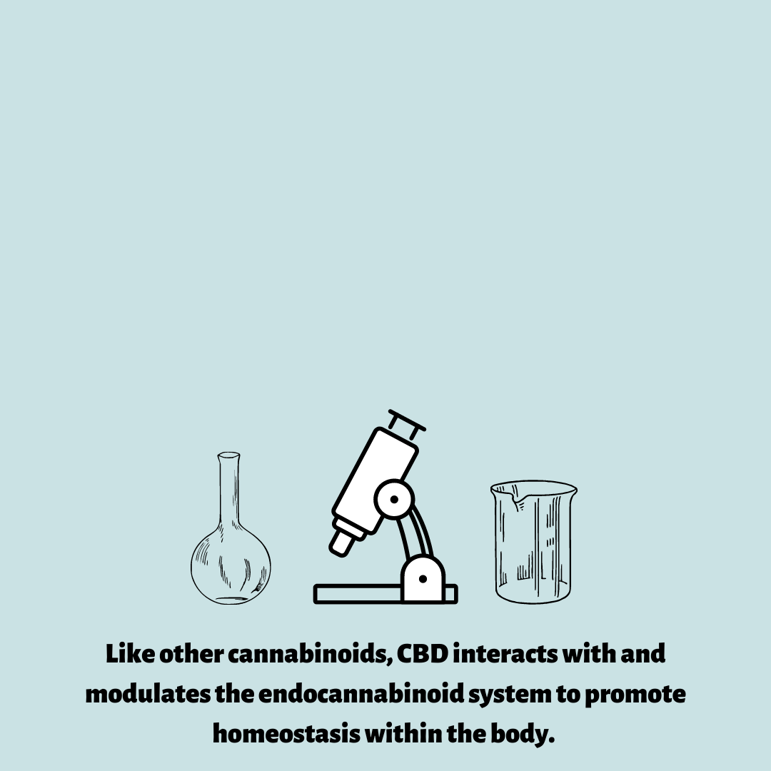 ElementApothec's tweet photo. Most people don't know the science behind #cbd products. Swipe to learn more!
#cbdproducts #whatiscbd #wellness #cbd101 #cleancbd #cleanproducts #cleanbeauty #cleanscience #cannabis #hemp #elementapothec #cbdbrand #cleaningredients https://t.co/EZE7NjDvqT