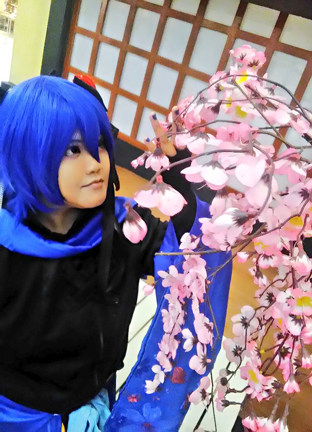 ryouta_Ranshiro's tweet photo. #vocaloid #kaitoshion #setsugetsuka #vananice https://t.co/HpgmSBqmrT