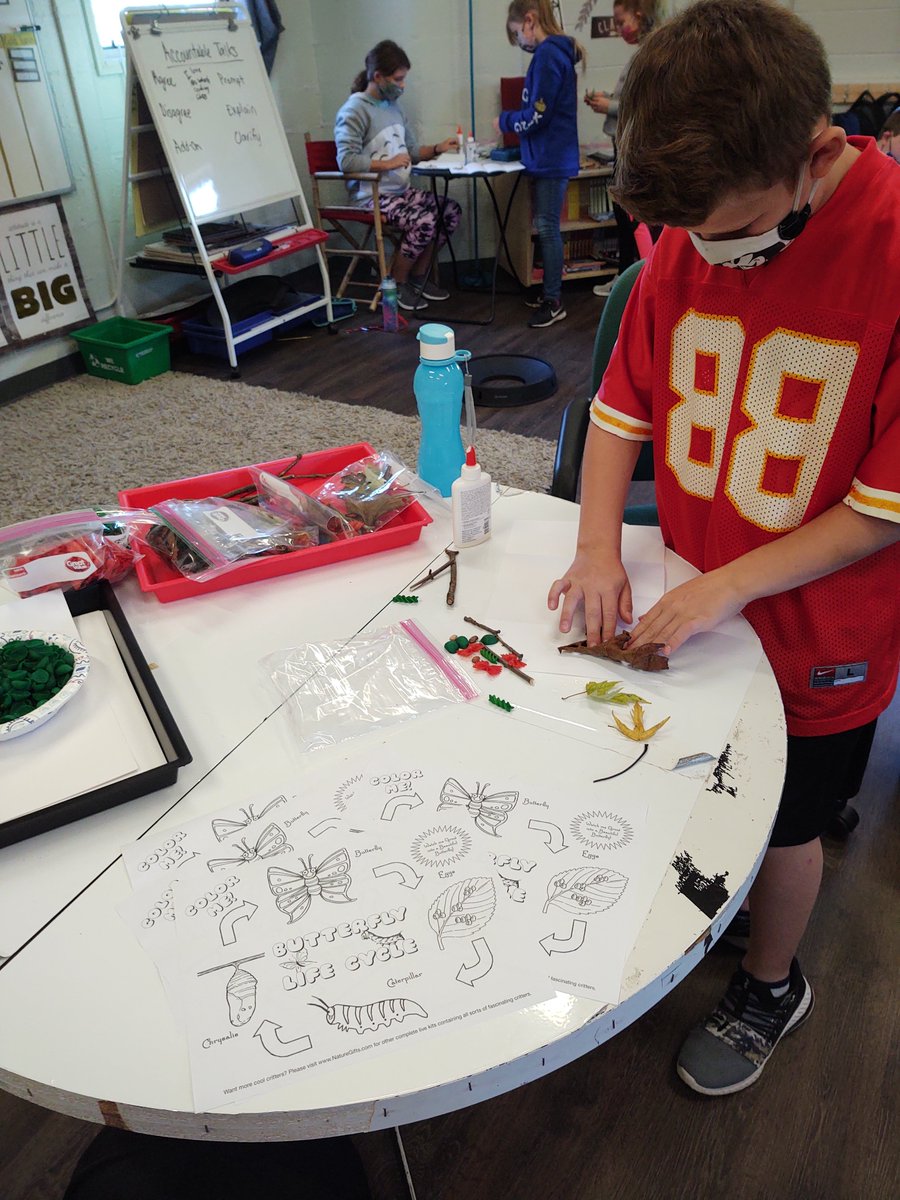 We love Zander's experiments! Thank you for including us!!  #butterflylifecycle