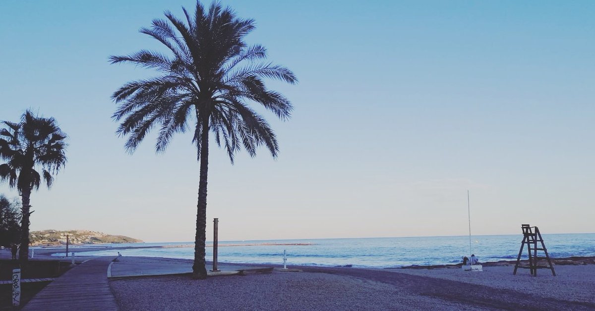 beni_paraiso's tweet photo. Apagar el ordenador 📴 y activar los 5 sentidos con un simple paseo junto al mar.
Desconectar para conectar. 💚
#BenicàssimParaíso #Benicàssim
#SoyBenilover https://t.co/iNG315VbCd