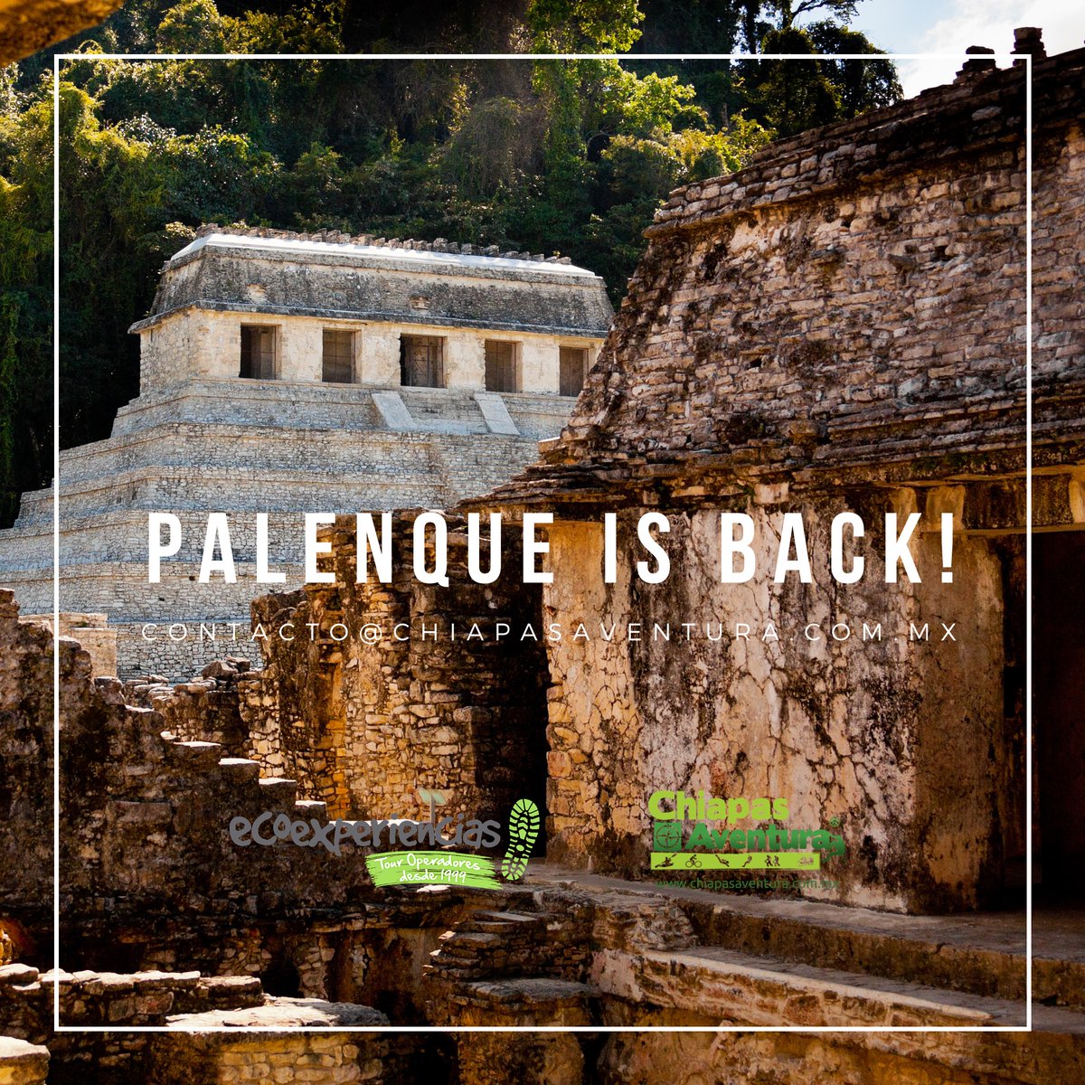 ECOEXPERIENCIAS. CHS tweet media